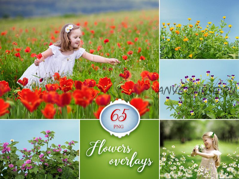 [Fotolit] 65 Flowers overlays / Набор цветочных наложений