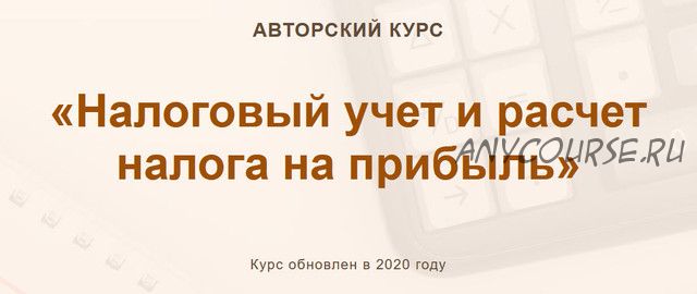 [Учет без забот] Налоговый учет и расчет налога на прибыль. 2020 (Ольга Шулова)