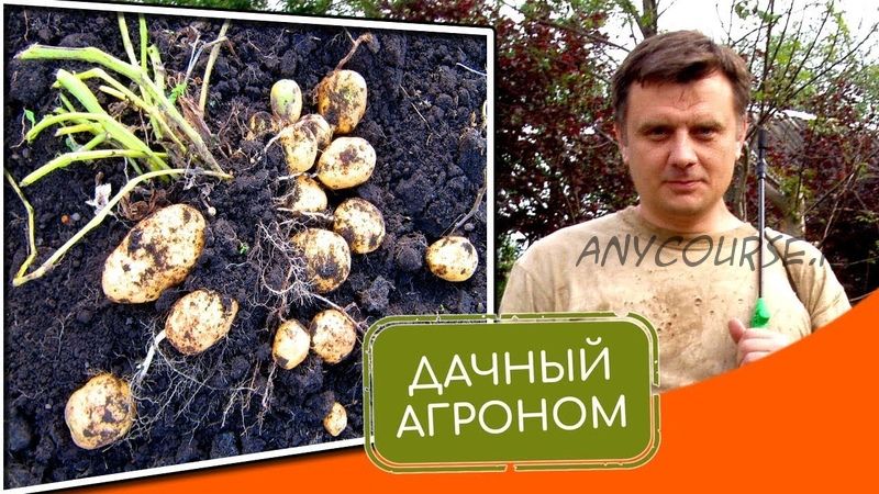 [Дачный агроном] Большой Картофельный курс (Вячеслав Грисюк, Юлия Петровна)