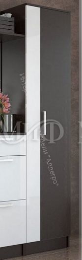 Шкаф платяной Мартина Белый глянец/Венге