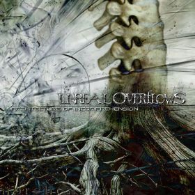 UNREAL OVERFLOWS - Architecture of Incomprehension