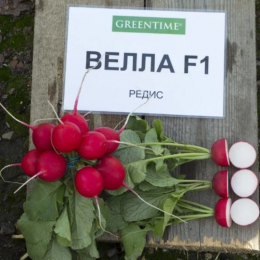 Редис Велла F1, Мировые Семена VITA GREEN