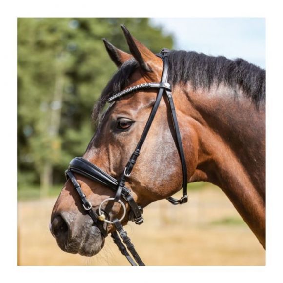 Оголовье трензельное (уздечка) Kavalkade Ayana