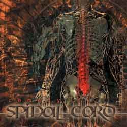 SPINAL CORD - Remedy