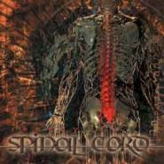 SPINAL CORD - Remedy