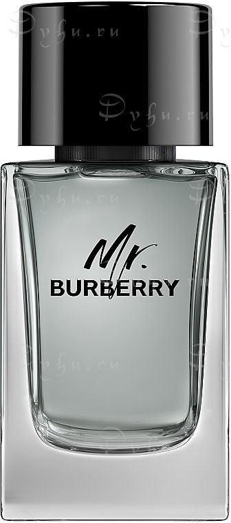 Burberry Mr.