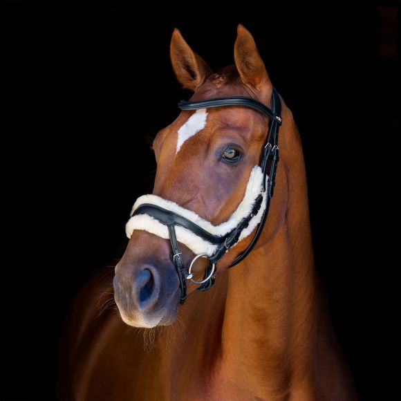 Оголовье трензельное (уздечка) Schockemohle Equitus Zeta