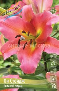 Лилия Он Стейдж, 12/14, ОТ-гибрид, - 2шт