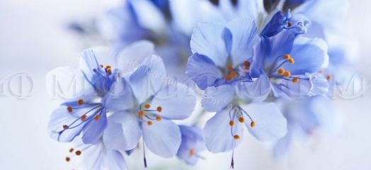 Кухня "Лара" 2000 мм (Фотопечать)