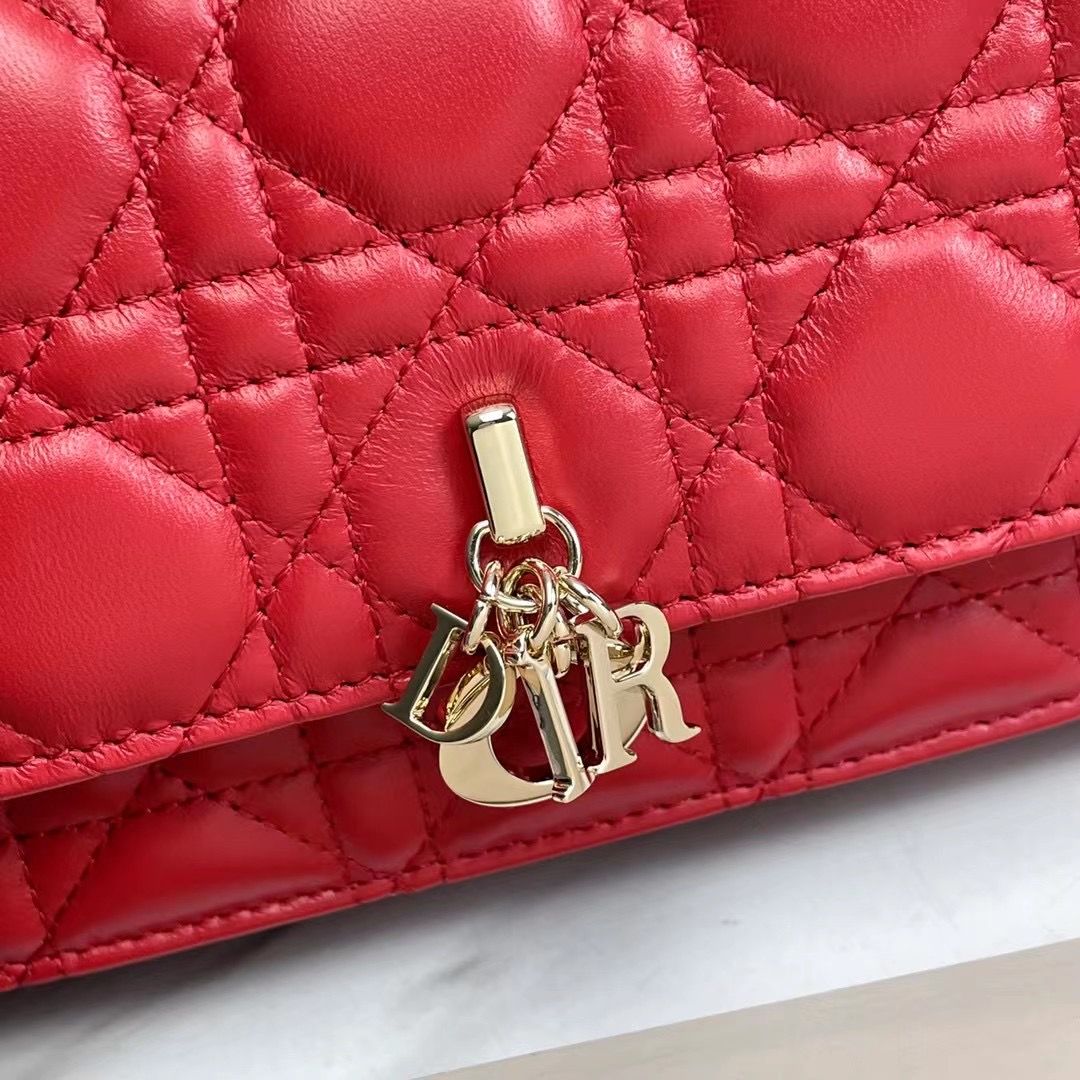 Lady Dior Phone Pouch 18,5x10x4 cm