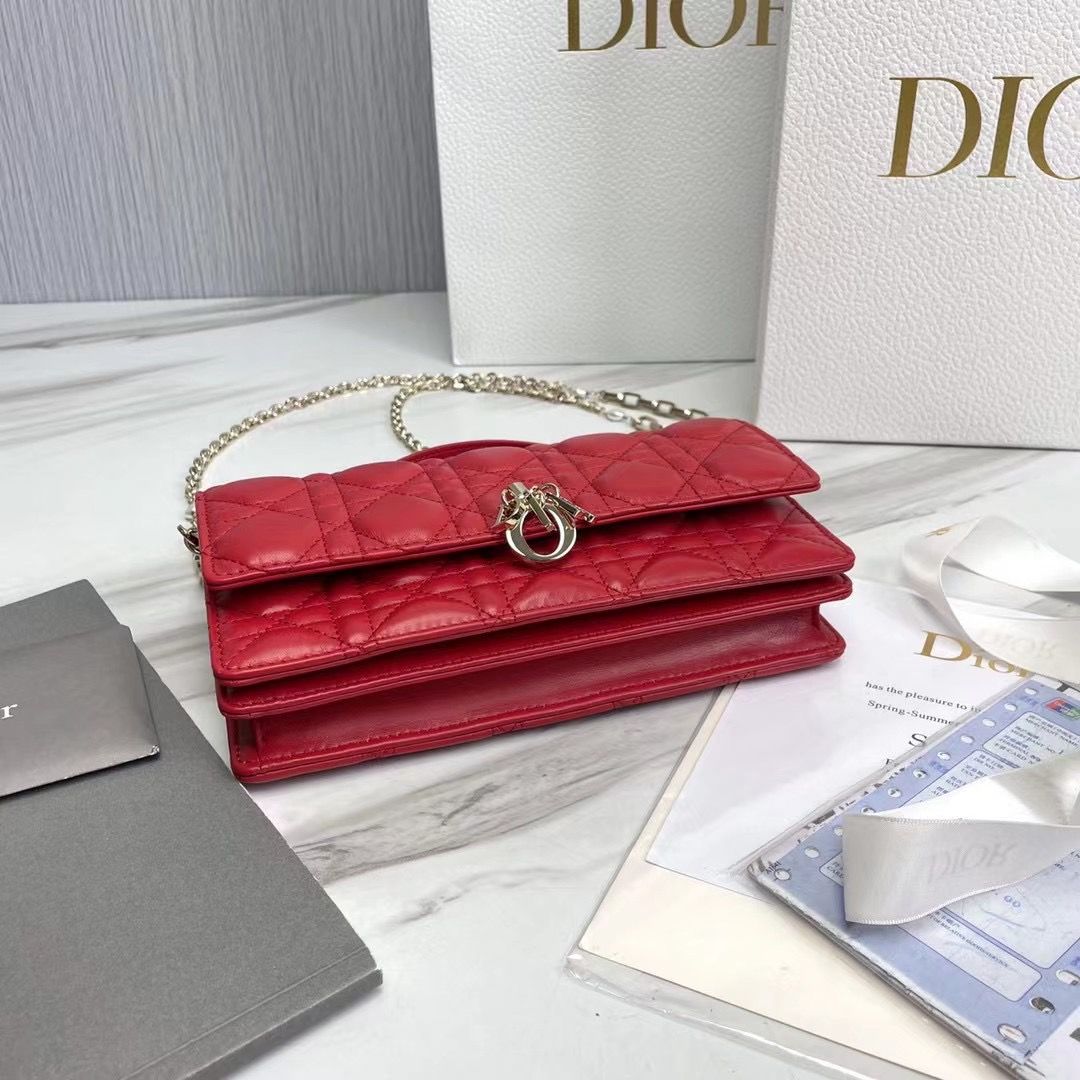 Lady Dior Phone Pouch 18,5x10x4 cm