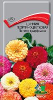 Семена Цинния георгиноцветковая Пепито дварф микс   0,4гр.