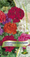 Семена Пеларгония зональная Колорама 0,05гр. Комплект из 3 пакетиков