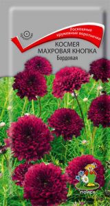 Семена Космея Махровая кнопка Бордовая 0,1гр. Комплект из 3 пакетиков