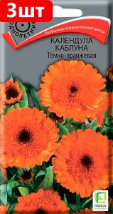 Семена Календула каблуна темно-оранжевая 1гр. Комплект из 3 пакетиков