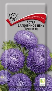 Семена Астра Валентинов день Темно-синяя