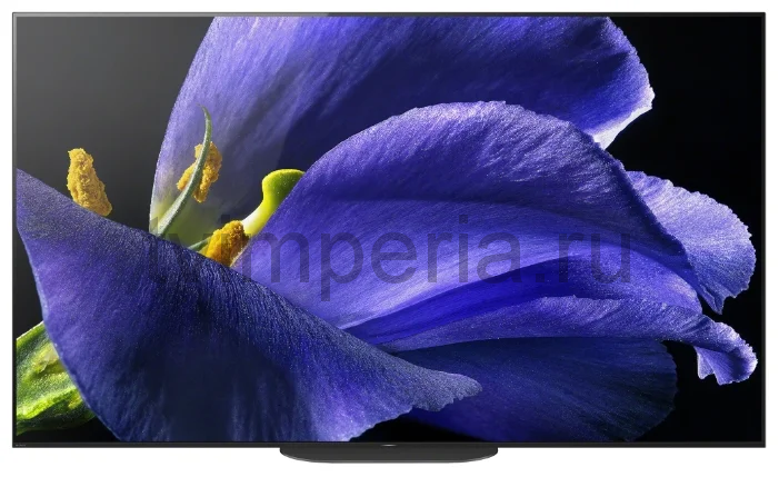 Телевизор Sony OLED KD-55AG9