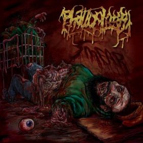 PHALLOPLASTY - Smear