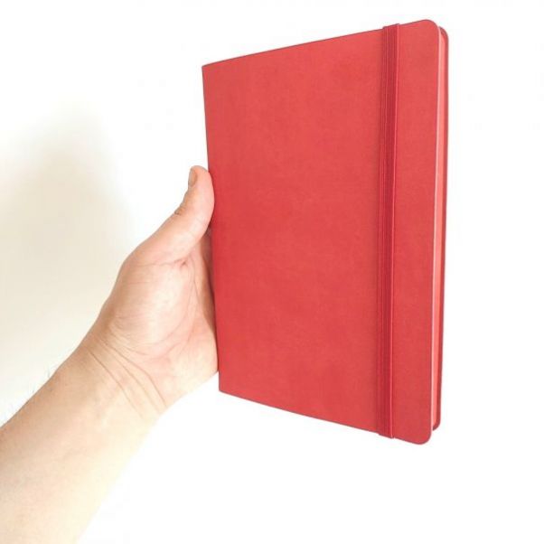 Ежедневник Shady красный