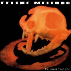 FELINE MELINDA - The Felines Await You