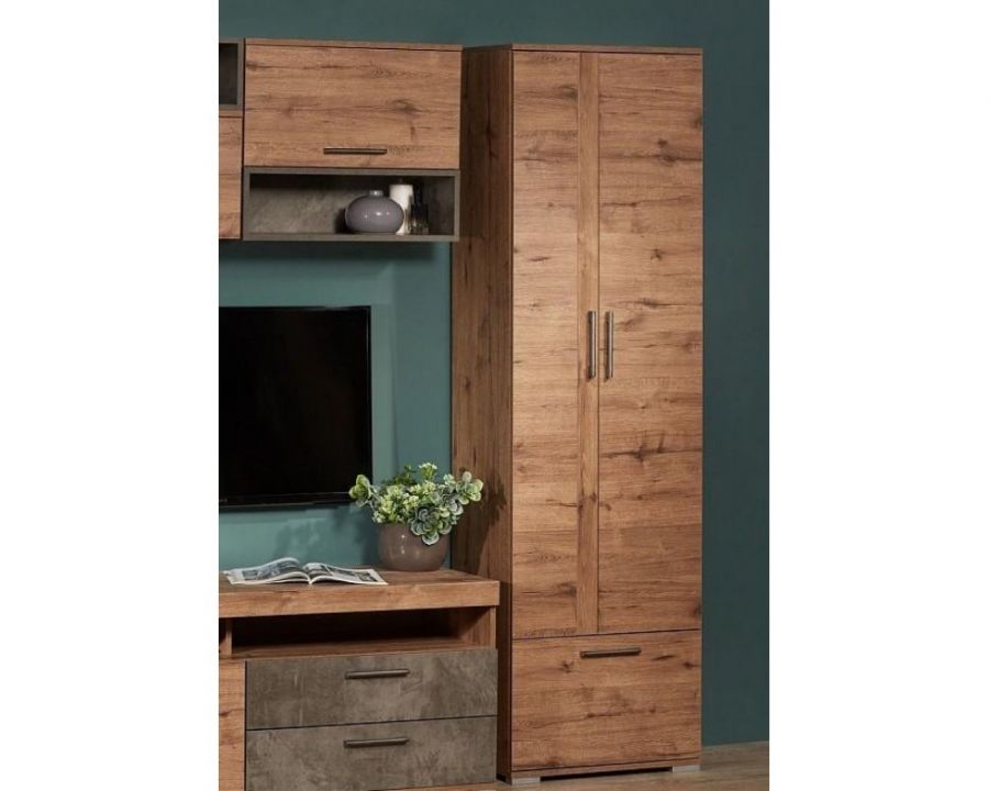 Д-2 Шкаф для одежды "Денвер"