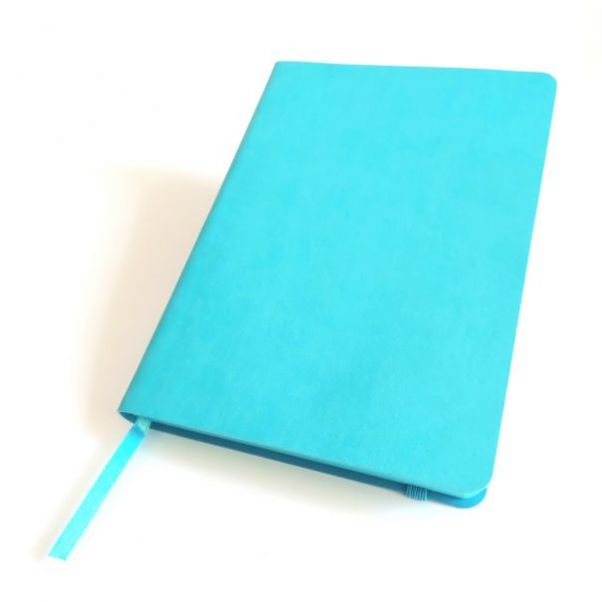 Ежедневник Shady голубой