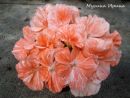 Tresor № 0162