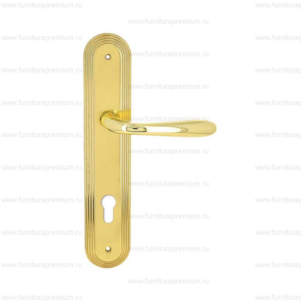 Ручка на планке Extreza Aldo 331 CYL PL05