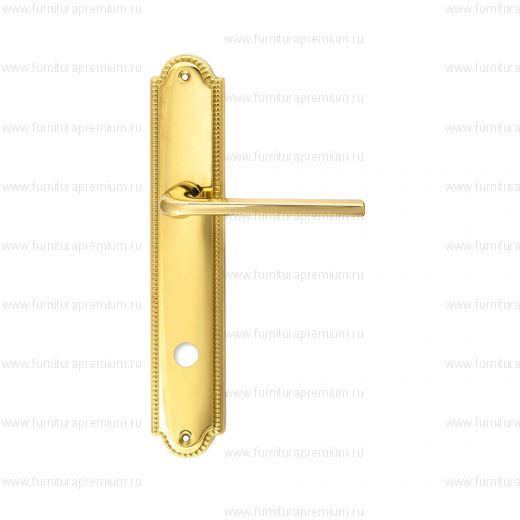 Ручка на планке Extreza Terni 320 WC PL03