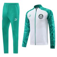 Спортивный костюм Palmeiras 23/24