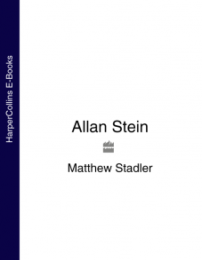 Allan Stein