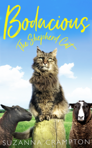 Bodacious: The Shepherd Cat