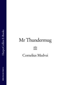 Mr Thundermug