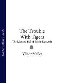 The Trouble With Tigers: The Rise and Fall of South-East Asia