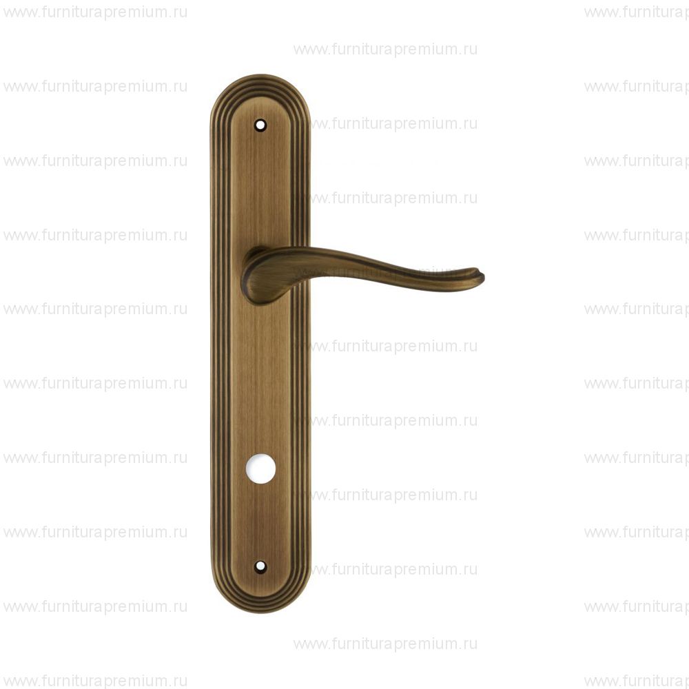 Ручка на планке Extreza Ariana 333 WC PL05