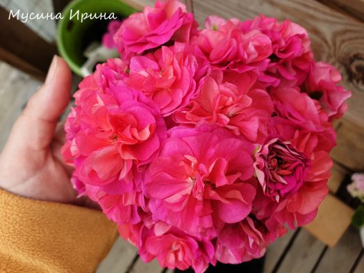 ЮВ_Византия № 0374