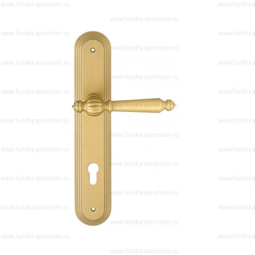 Ручка на планке Extreza Daniel 308 CYL PL05