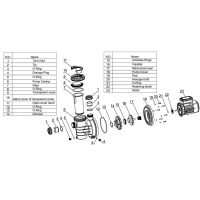 Насос AquaViva LX SWIM075T 17 м3/ч (1,2HP, 380В)