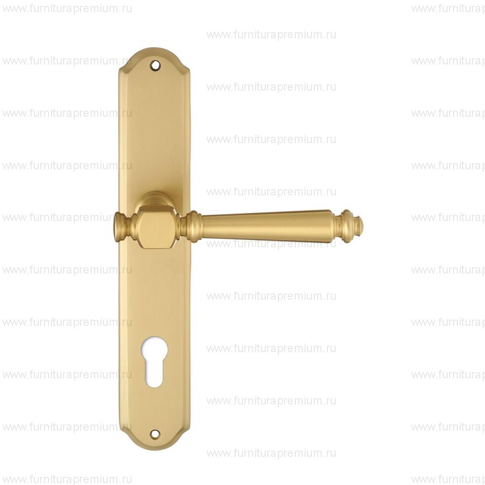 Ручка на планке Extreza Veronika 325 CYL PL01