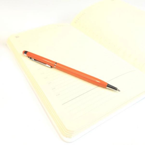Оранжевые ручки со стилусом TouchWriter