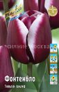 Tyulpan-Fontenblo-seriya-Triumf-11-12-1-sht