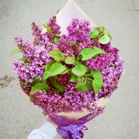 Букет из 9 веток сиреневой сирени