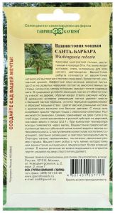 Семена Вашингтония крепкая Санта-Барбара 3 шт.