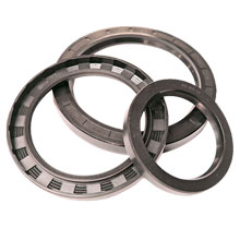 Сальник (манжета армированная) 2.2-15х32х7 ГОСТ 8752-79