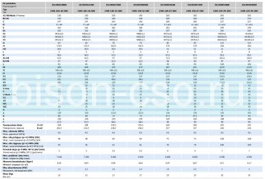Гидравлический цилиндр 1305-130-52-SKC со сквозным отверстием