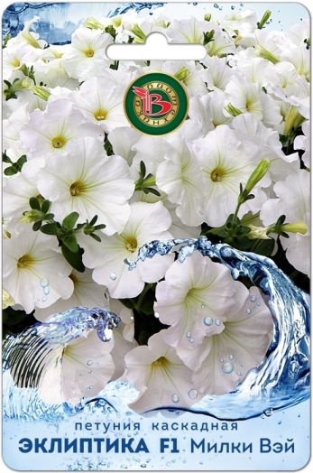 Петуния Эклиптика F1 Милки Вей каскадная