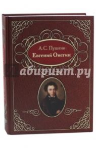 Евгений Онегин / Пушкин Александр Сергеевич