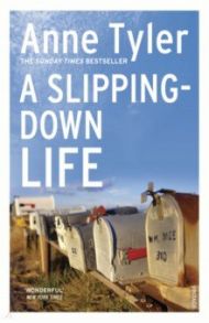 A Slipping Down Life / Tyler Anne