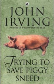 Trying to Save Piggy Sneed / Irving John