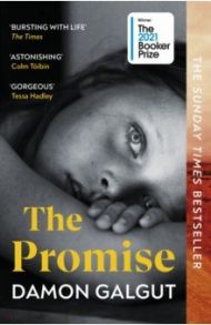 The Promise / Galgut Damon